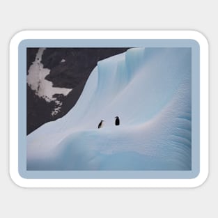 TWO PENGUINS ON AN ICEBERG Sticker